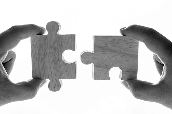 Create synergy with other institutions